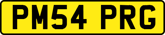 PM54PRG