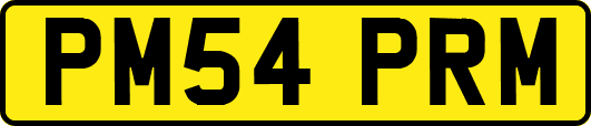 PM54PRM