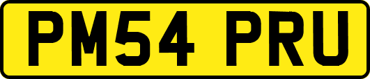 PM54PRU