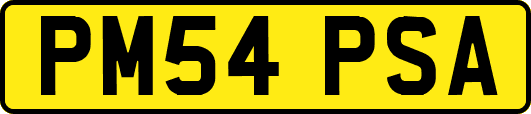 PM54PSA