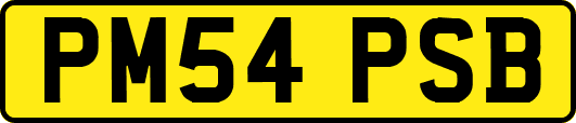 PM54PSB