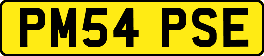 PM54PSE