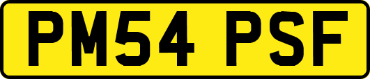 PM54PSF