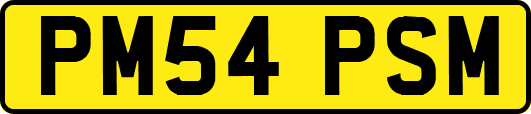 PM54PSM