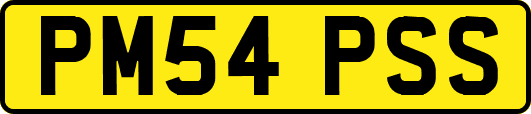 PM54PSS