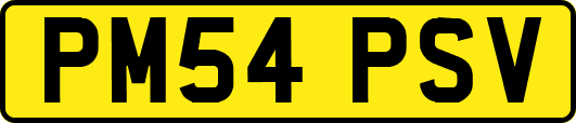 PM54PSV