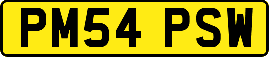 PM54PSW