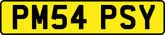 PM54PSY