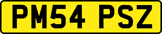 PM54PSZ