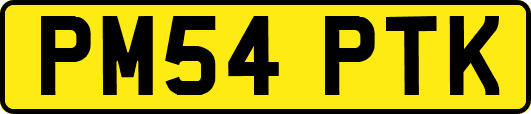 PM54PTK
