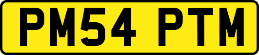 PM54PTM