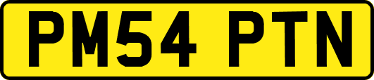 PM54PTN
