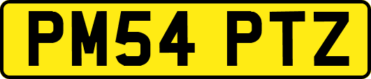 PM54PTZ