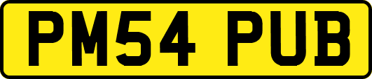 PM54PUB