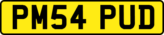 PM54PUD