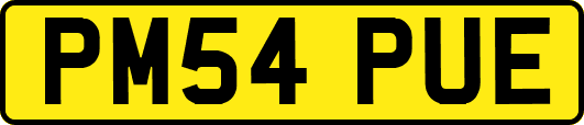 PM54PUE