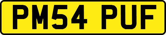 PM54PUF