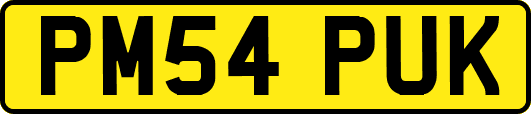 PM54PUK
