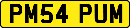PM54PUM