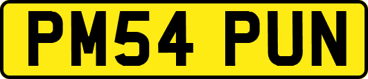 PM54PUN