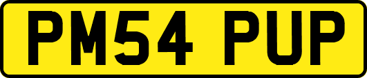 PM54PUP