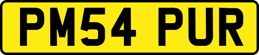 PM54PUR