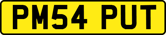 PM54PUT