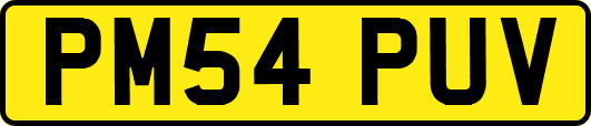 PM54PUV