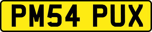 PM54PUX