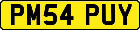 PM54PUY