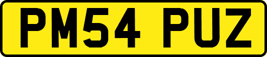 PM54PUZ