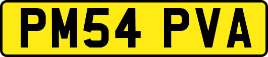 PM54PVA