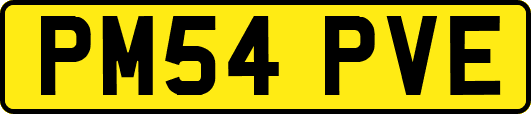 PM54PVE