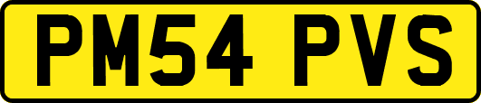 PM54PVS