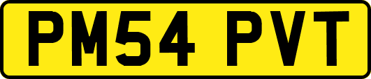 PM54PVT