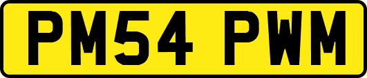 PM54PWM