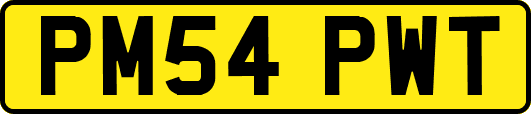 PM54PWT