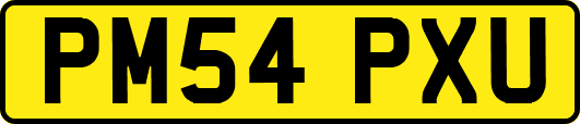 PM54PXU