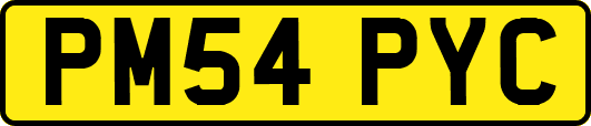 PM54PYC