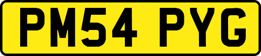 PM54PYG
