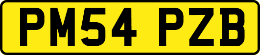 PM54PZB