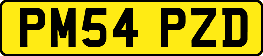 PM54PZD