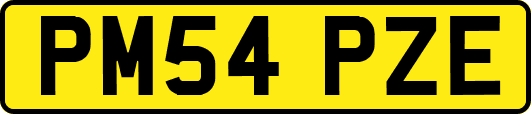 PM54PZE