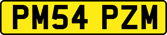 PM54PZM