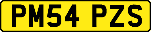 PM54PZS