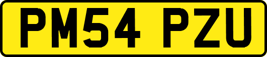 PM54PZU
