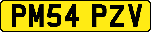 PM54PZV