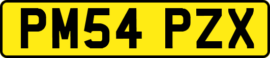 PM54PZX