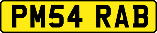PM54RAB