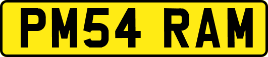 PM54RAM
